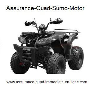Assurance Sumo Motor